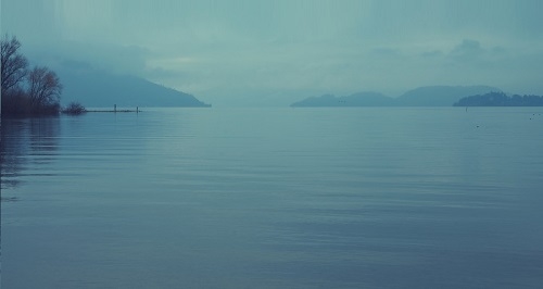 CEO’s & the power of stillness