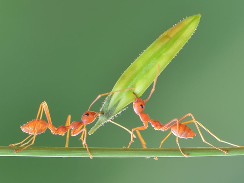 Tweet Share Email START-UPS Ant Financial looks to raise $9bn in private funding round