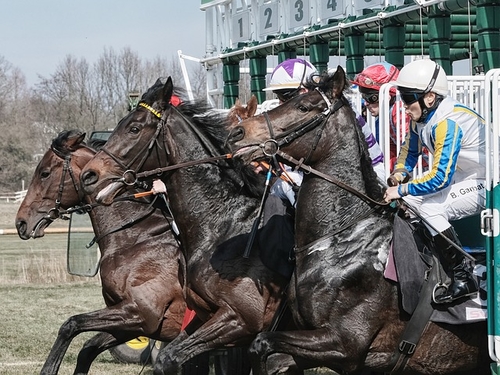 U.S. high court paves way for states to legalise sports betting