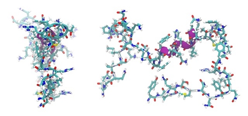 5 things I learned at the 5th Annual Peptides Congress
