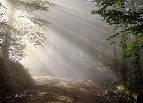 UK’s Carbon Reduction Commitment regime winds down