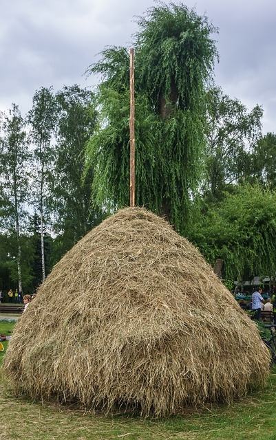 featured image