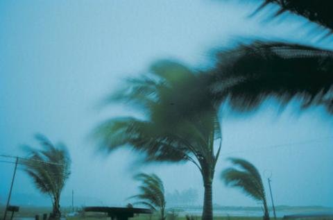 Courting Catastrophe