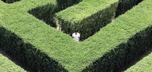 featured image