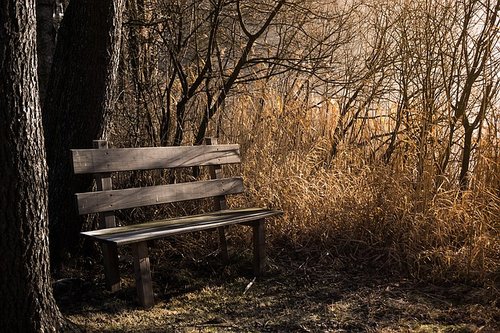 featured image
