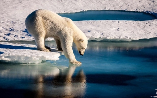 Net zero = no more goes out than in