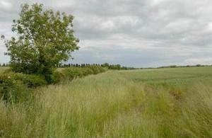 Farmers told post-Brexit it's public money for public goods