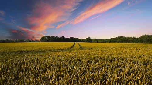 Land value reform threat to landowners, developers and land supply
