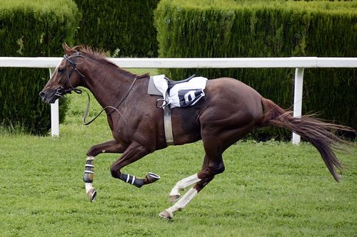 The time & date of the appointment - clarity at last? Re Towcester Racecourse