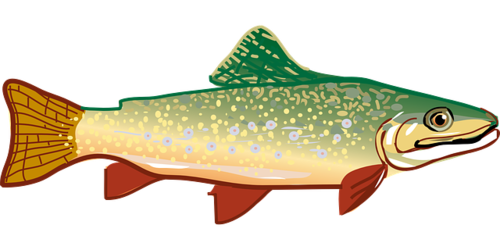 One Fish, Two Fish, Bait & Switch Fish