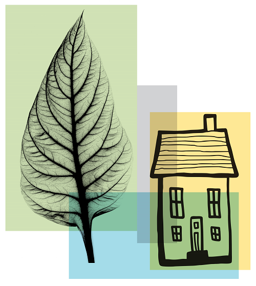 Regulator of Social Housing cracking down on alleged “sham transactions”