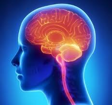 Neurology hotline for GPs: Primary and Secondary Care working better together