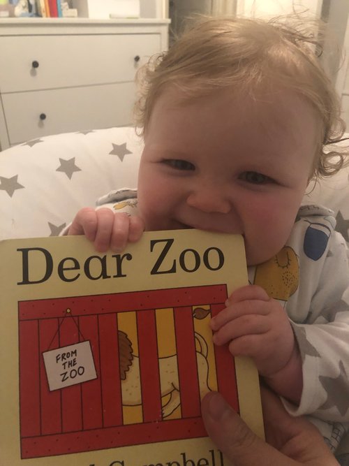 Dear Zoo...